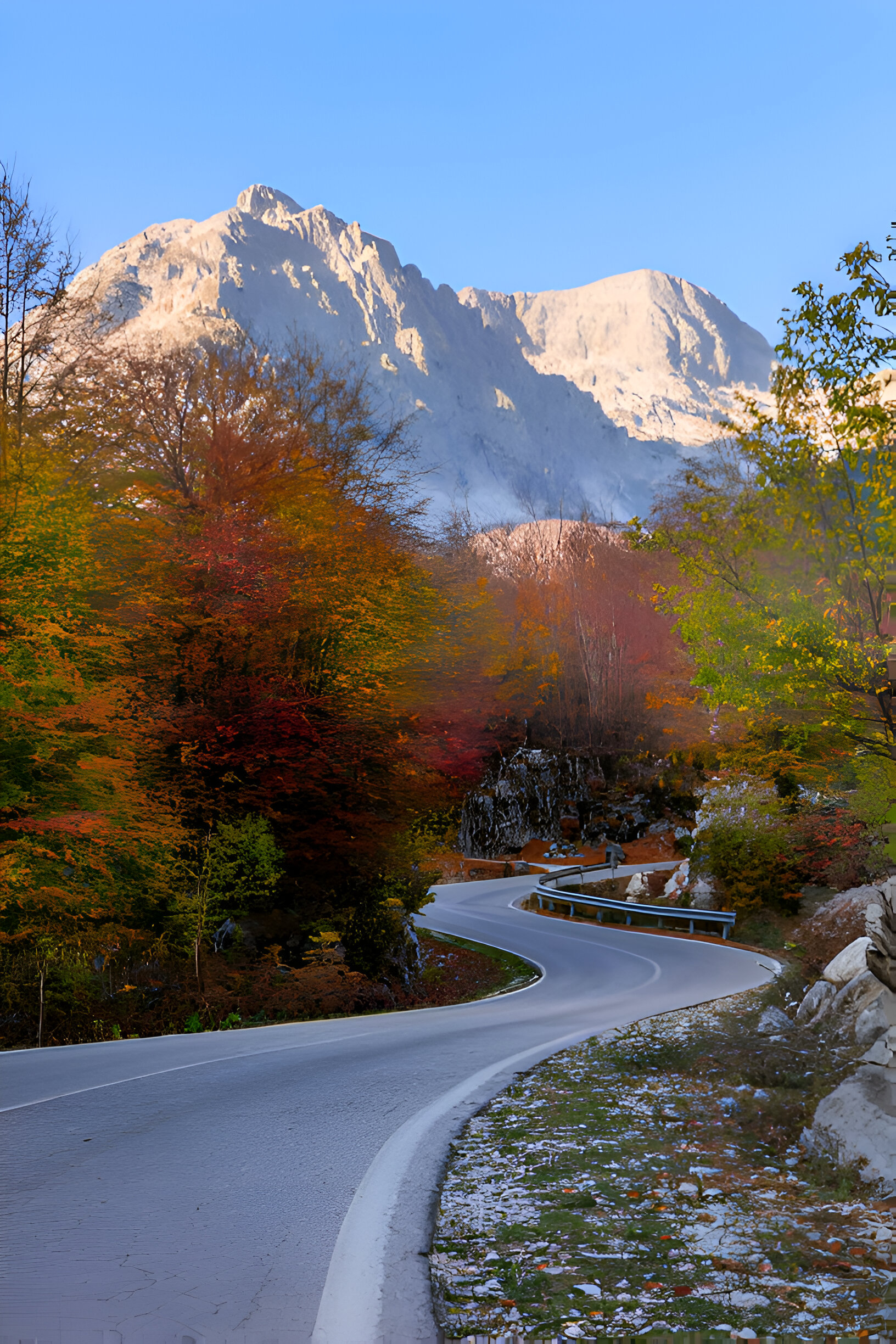 A winding road on an Albania road trip surrounded by vibrant autumn trees and majestic snow-capped mountains under a clear blue sky.